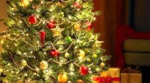 Откуда пришла традиция наряжать елку на Новый год?