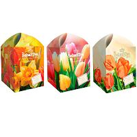 №447ч Чай SebasTea Spring Tulips 20 пак. (3 дизайна, микс) 30г 